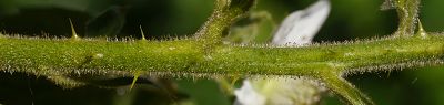 Bild16