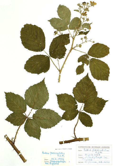 Bild3