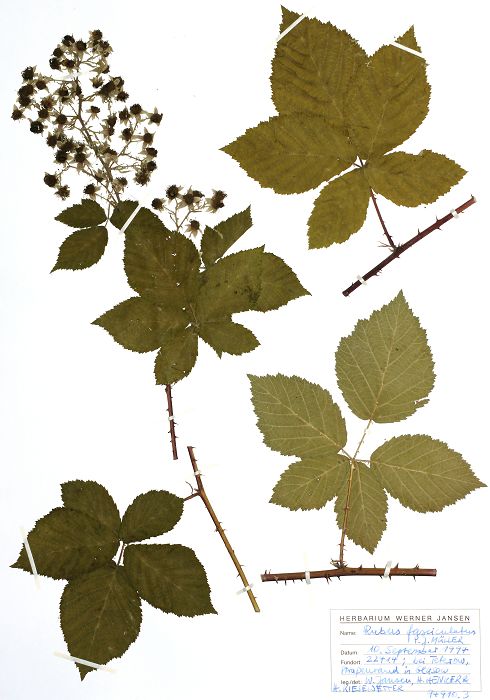 Bild3