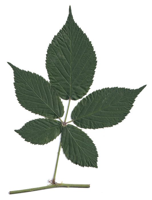 Bild3
