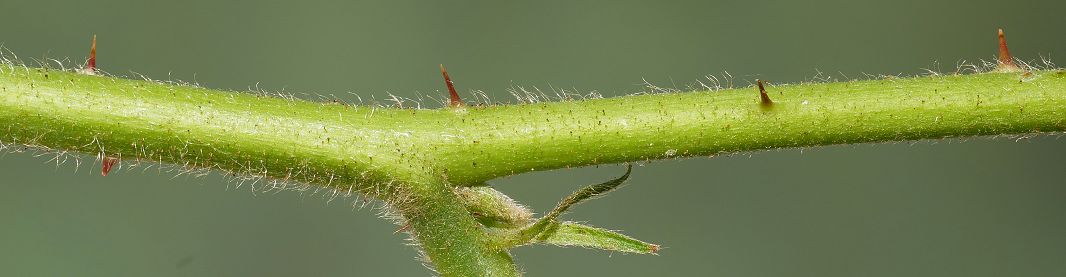 Bild3