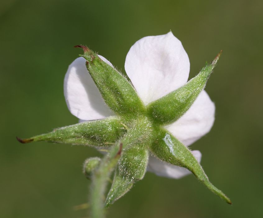Bild14