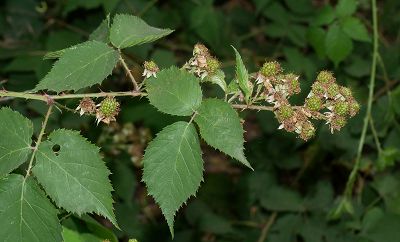 Bild14