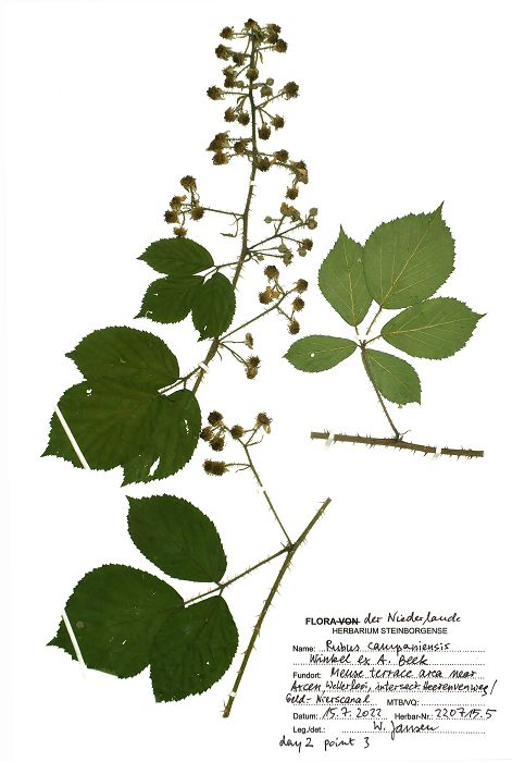 Bild1