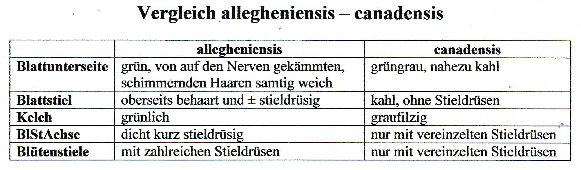 Vergleich