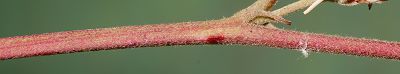 Bild16