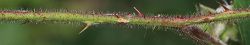Bild2
