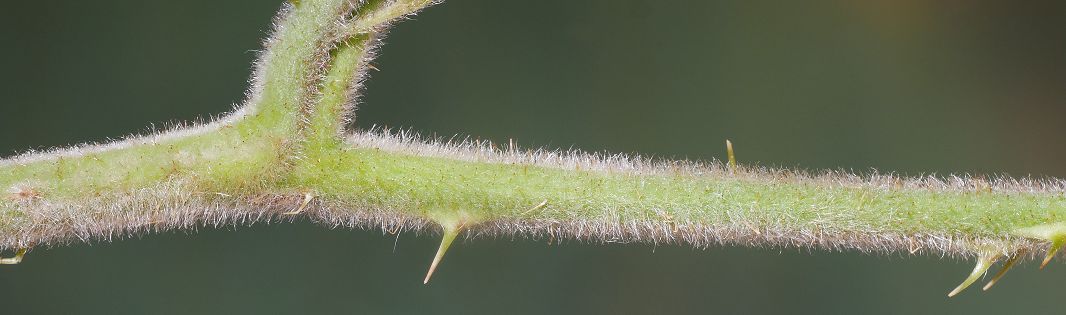 Bild3