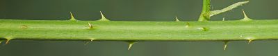Bild12