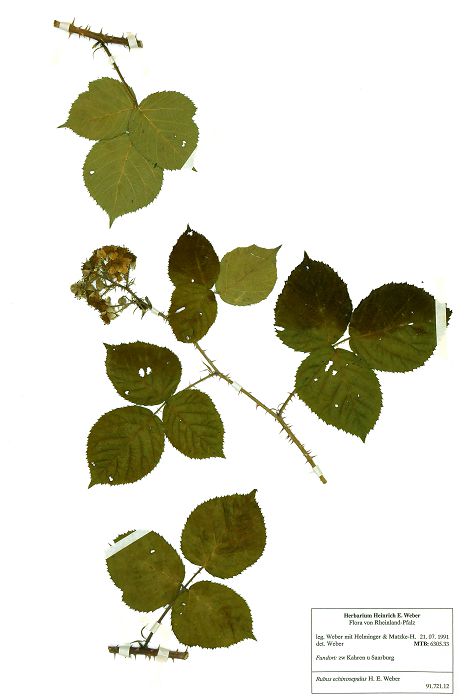 Bild3