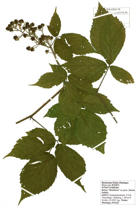 Bild3