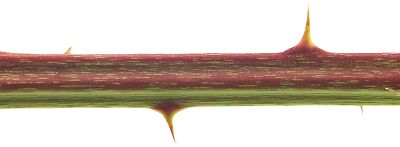 Bild12