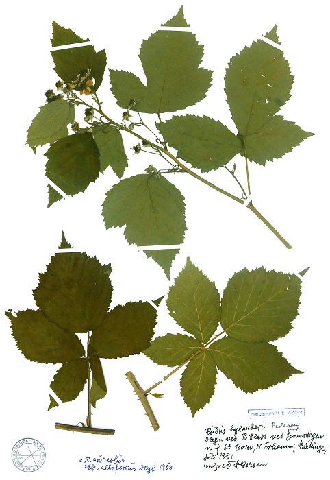 Bild3