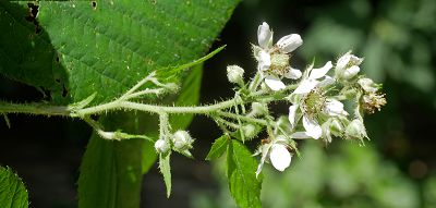 Bild12