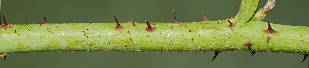 Bild3