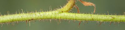 Bild16