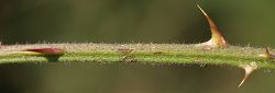 Bild2