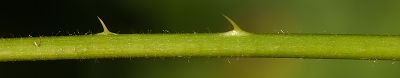 Bild16