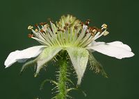 Bild24
