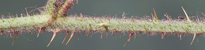 Bild16