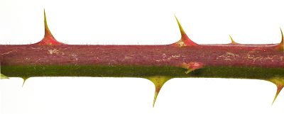 Bild12