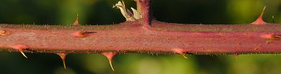 Bild12