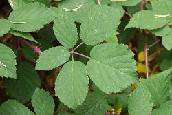 Bild2