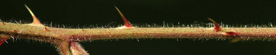 Bild3