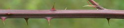 Bild2