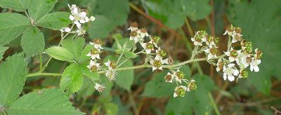 Bild12