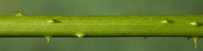 Bild16