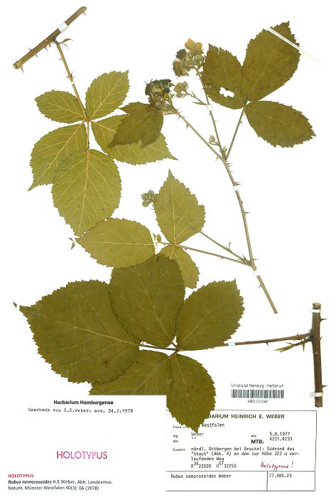 Bild1