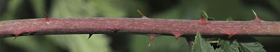Bild12