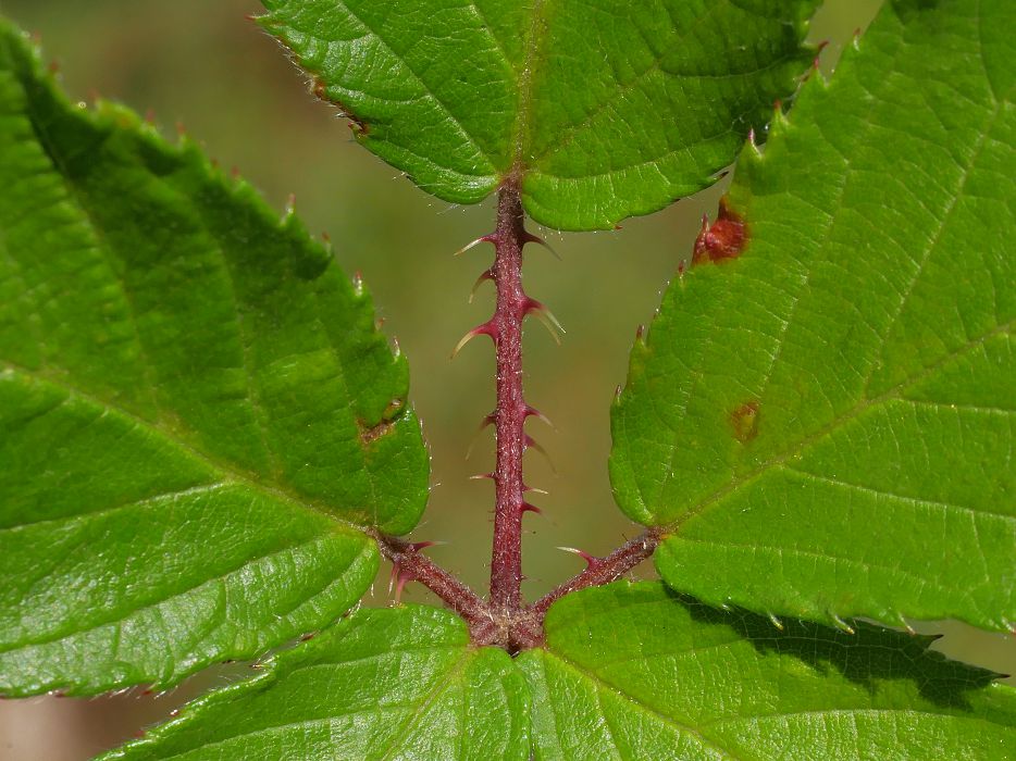 Bild3