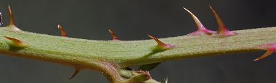 Bild16