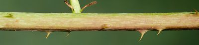 Bild12
