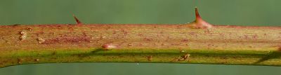 Bild12