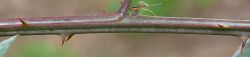 Bild2
