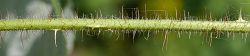 Bild2