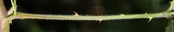Bild2