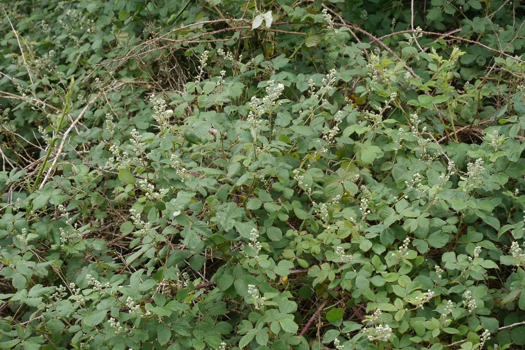 Bild3