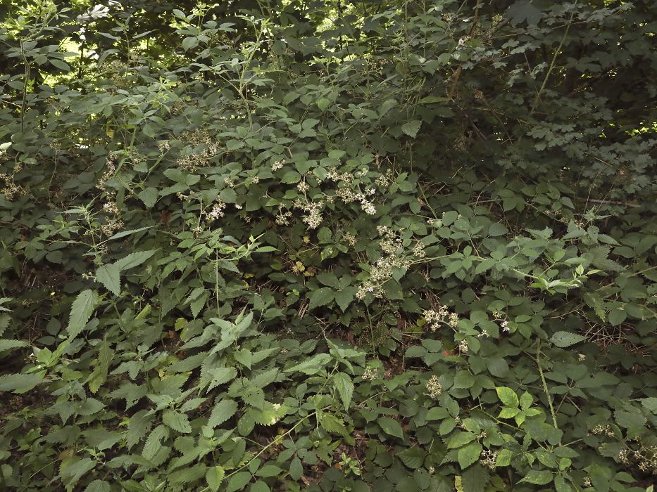 Bild3