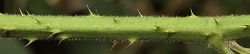 Bild2
