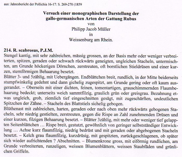 Vergleich