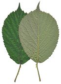 Bild6