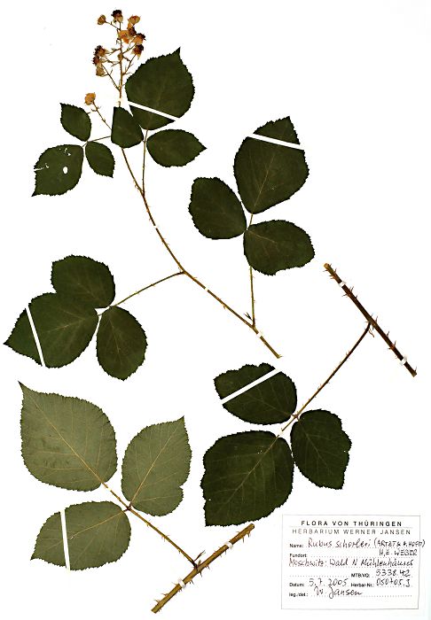 Bild3