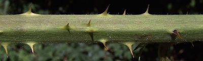 Bild12