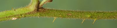 Bild16