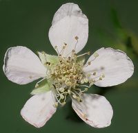 Bild24