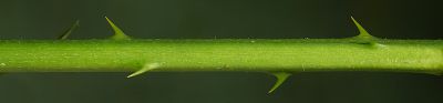 Bild16